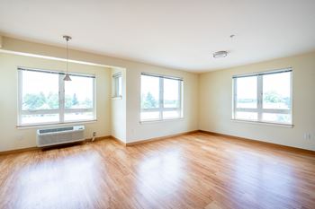 Expansive windows